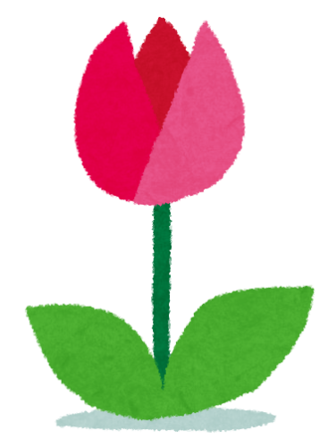 flower_tulip